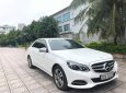 Mercedes-Benz E250 2014 - Bán Mercedes Benz E250 2014