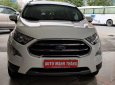 Ford EcoSport Titanium 1.5L 2019 - Bán xe Ford EcoSport Titanium 1.5L 2019, màu trắng
