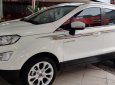 Ford EcoSport Titanium 1.5L 2019 - Bán xe Ford EcoSport Titanium 1.5L 2019, màu trắng