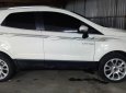 Ford EcoSport Titanium 1.5L 2019 - Bán xe Ford EcoSport Titanium 1.5L 2019, màu trắng