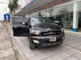 Ford Ranger Wildtrak 3.2L 4x4 AT 2017 - Bán ô tô Ford Ranger Wildtrak 3.2L 4x4 AT đời 2017, màu đen, nhập khẩu, giá tốt