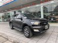 Ford Ranger Wildtrak 3.2L 4x4 AT 2017 - Bán ô tô Ford Ranger Wildtrak 3.2L 4x4 AT đời 2017, màu đen, nhập khẩu, giá tốt