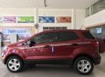 Ford EcoSport 2019 - Bán xe Ford EcoSport AT sản xuất năm 2019, màu đỏ số tự động