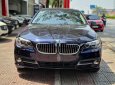 BMW 5 Series 2016 - Bán BMW 5 Series 2016, màu xanh lam, xe nhập