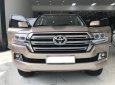 Toyota Land Cruiser VX 2017 - Cần bán Toyota Land Cruiser VX 2017, màu vàng