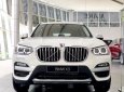 BMW X3 2020 - Bán BMW X3 năm 2020, nhập khẩu nguyên chiếc