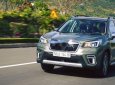 Subaru Forester   2019 - Bán ô tô Subaru Forester đời 2019, nhập khẩu nguyên chiếc giá cạnh tranh