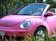 Volkswagen Beetle   2009 - Bán Volkswagen Beetle sản xuất năm 2009, xe mui trần xếp điện