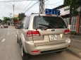 Ford Escape 2009 - Cần bán Ford Escape đời 2009, màu vàng, 320tr