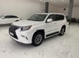 Lexus GX   2014 - Cần bán xe Lexus GX460 đời 2014, xe nhập