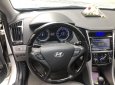 Hyundai Sonata   2010 - Bán Hyundai Sonata 2010, xe nhập