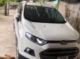 Ford EcoSport 2016 - Bán ô tô Ford EcoSport năm sản xuất 2016, màu trắng, xe nhập, 480 triệu