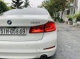 BMW 5 Series  520i  2019 - Bán ô tô BMW 5 Series 520i đời 2019, màu trắng, nhập khẩu