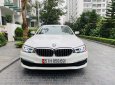 BMW 5 Series  520i  2019 - Bán ô tô BMW 5 Series 520i đời 2019, màu trắng, nhập khẩu