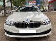 BMW 5 Series 2018 - Cần bán BMW 5 Series 520i năm 2018, màu trắng, nhập khẩu