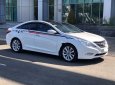 Hyundai Sonata   2011 - Cần bán xe Hyundai Sonata 2011, nhập khẩu, giá cạnh tranh