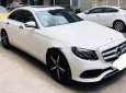 Mercedes-Benz E class 2018 - Cần bán Mercedes E250 đời 2018, màu trắng chính chủ