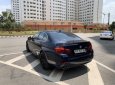 BMW 5 Series   2016 - Bán ô tô BMW 520i sản xuất 2016, nhập khẩu