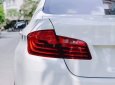 BMW 5 Series 520i   2016 - Bán ô tô BMW 5 Series 520i đời 2016, màu trắng, xe nhập chính chủ