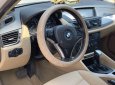 BMW X1   2010 - Bán xe cũ BMW X1 sản xuất 2010, nhập khẩu
