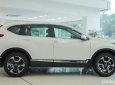 Honda CR V   2019 - Bán Honda CR V đời 2019, màu trắng, nhập khẩu, 983 triệu