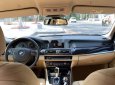 BMW 5 Series  520i   2015 - Cần bán BMW 5 Series 520i năm sản xuất 2015, màu đen, nhập khẩu