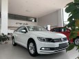 Volkswagen Passat Bluemotion comfor 2017 - Volkswagen Passat Bluemotion-nhập khẩu nguyên chiếc 