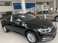 Volkswagen Passat Bluemotion comfor 2017 - Volkswagen Passat Bluemotion-nhập khẩu nguyên chiếc 