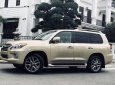 Lexus LX  570    2010 - Cần bán xe Lexus LX 570 đời 2010, nhập khẩu nguyên chiếc