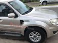 Ford Escape 2009 - Cần bán lại xe Ford Escape đời 2009, màu bạc