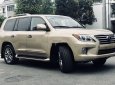 Lexus LX  570    2010 - Cần bán xe Lexus LX 570 đời 2010, nhập khẩu nguyên chiếc