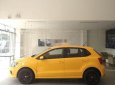 Volkswagen Polo     2016 - Bán xe Volkswagen Polo đời 2016, xe nhập