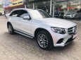 Mercedes-Benz GLC-Class  GLC 300 2017 - Trúc Anh Auto cần bán gấp Mercedes GLC 300 sản xuất năm 2017, màu bạc