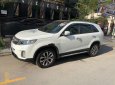 Kia Sorento 2018 - Bán ô tô Kia Sorento năm sản xuất 2018, màu trắng, 790tr