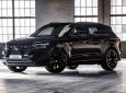 Volkswagen Touareg   Premium   2020 - Bán ô tô Volkswagen Touareg Premium đời 2020, màu đen, nhập khẩu