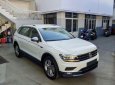 Volkswagen Tiguan 2018 - Cần bán Volkswagen Tiguan năm sản xuất 2018, màu trắng, xe nhập