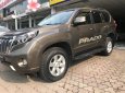 Toyota Prado 2014 - Bán nhanh chiếc Toyota Prado đời 2015, màu nâu, nhập khẩu nguyên chiếc