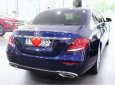 Mercedes-Benz E class  E250 2016 - Cần bán xe Mercedes E250 đời 2016