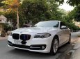 BMW 5 Series 2014 - Bán ô tô BMW 5 Series đời 2014, màu trắng