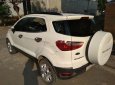 Ford EcoSport    2017 - Bán xe Ford EcoSport đời 2017, nhập khẩu nguyên chiếc giá cạnh tranh