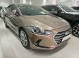 Hyundai Elantra   2017 - Bán Hyundai Elantra 2.0 GLS 2017, màu vàng  