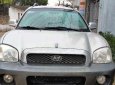 Hyundai Santa Fe 2003 - Bán Hyundai Santa Fe đời 2003, màu bạc, xe nhập, giá tốt