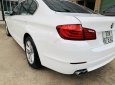 BMW 5 Series   2010 - Cần bán BMW 523i 2010, màu trắng, xe nhập 