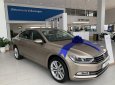 Volkswagen Passat 2016 - Volkswagen Passat, nhập khẩu nguyên chiếc giá cạnh tranh