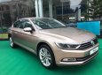 Volkswagen Passat 2016 - Volkswagen Passat, nhập khẩu nguyên chiếc giá cạnh tranh