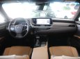 Lexus ES 2020 - Bán xe hạng sang giá thấp với chiếc Lexus ES 250 đời 2020, màu xám, xe nhập