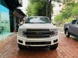 Ford F 150 Limited 2019 - Bán Ford F 150 Limited năm sản xuất 2019, màu trắng, nhập khẩu nguyên chiếc