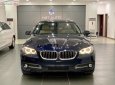 BMW 5 Series   2015 - Bán xe BMW 520i đời 2015, màu xanh lam, xe nhập