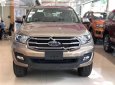 Ford Everest 2020 - Bán xe Ford Everest năm 2020, nhập khẩu giá cạnh tranh