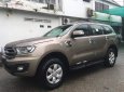 Ford Everest 2020 - Bán xe Ford Everest năm 2020, nhập khẩu giá cạnh tranh